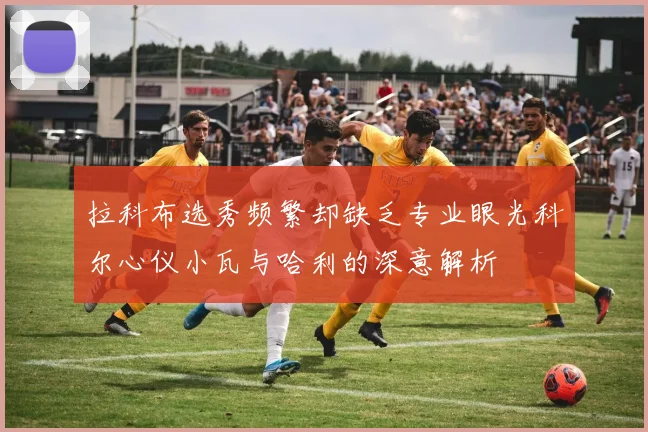 拉科布选秀频繁却缺乏专业眼光科尔心仪小瓦与哈利的深意解析